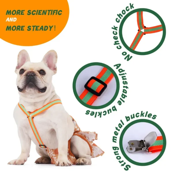 dchwm0146461-07.webp 2 Pack Reflective Adjustable Pet Dog Diaper Harness with Straps – product view 7