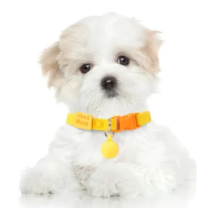Soft and Elastic Adjustable Dogs Cat Collar Decorative Pet Necklace – product view 2