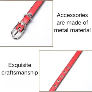 Adjustable Metal Buckle Durable PU Leather Pet Collar with Bell – product view 2