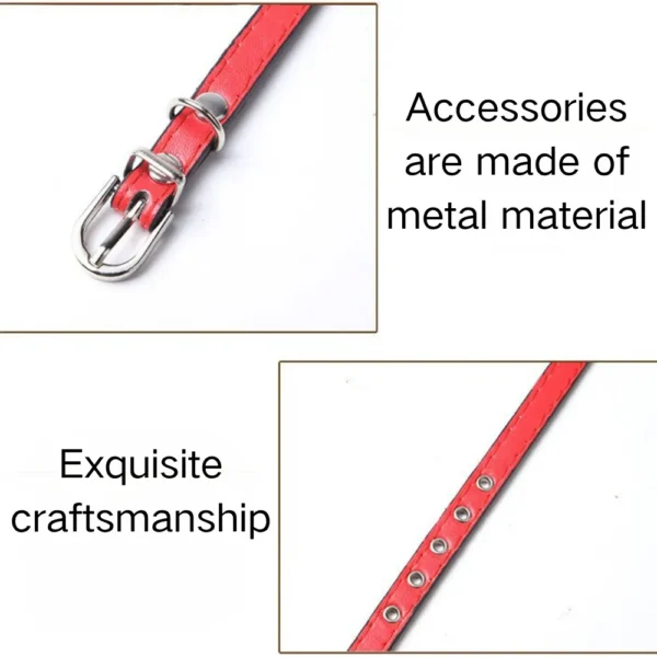dchwm0158344-02.webp Adjustable Metal Buckle Durable PU Leather Pet Collar with Bell – product view 2