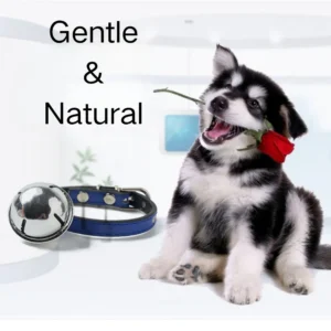 Adjustable Metal Buckle Durable PU Leather Pet Collar with Bell – product view 4