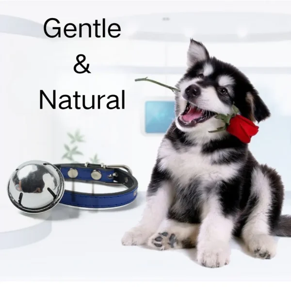 dchwm0158344-04.webp Adjustable Metal Buckle Durable PU Leather Pet Collar with Bell – product view 4