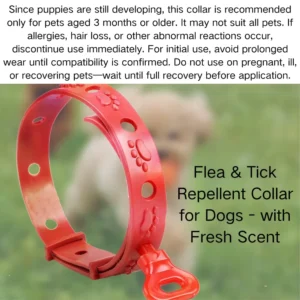 Adjustable Flea and Tick Repellent Dog Collar with Fresh Scent – product view 4