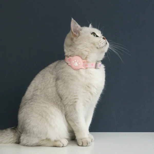 dchwm0160453-02.webp Silicone Airtag Holder Adjustable Love Heart and Paw Pet Collar – product view 2