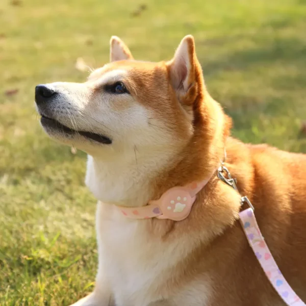 dchwm0160453-04.webp Silicone Airtag Holder Adjustable Love Heart and Paw Pet Collar – product view 4