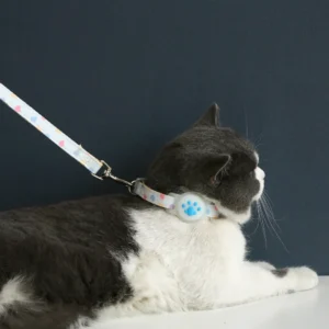 dchwm0160453-05.webp Silicone Airtag Holder Adjustable Love Heart and Paw Pet Collar – product view 5