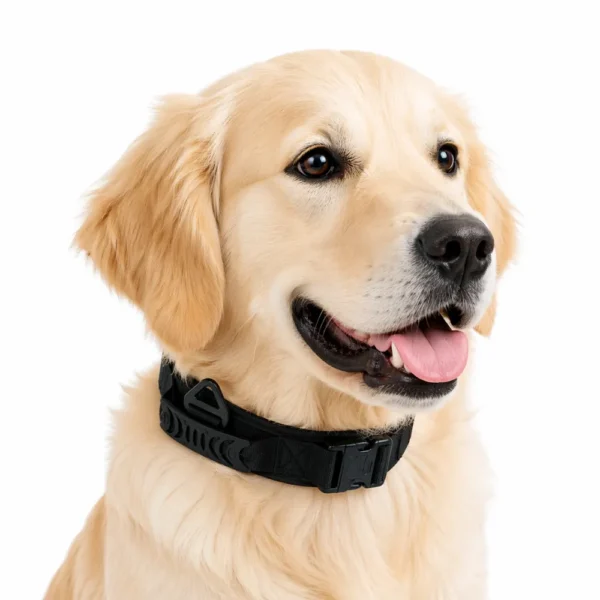 dchwm0176422-01.webp Double Metal Buckle Outdoor Dog Collar Tactical Quick Release Shock Absorb