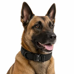 Anti Pull Tactical Dog Collar Outdoor Large Medium Dog Neck Safety