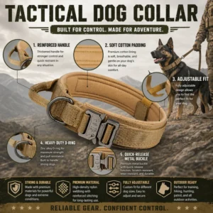 dchwm0176505-04.webp Anti Pull Tactical Dog Collar Outdoor Large Medium Dog Neck Safety – product view 4