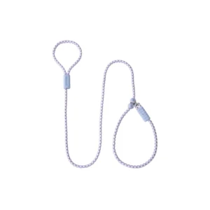 dchwm0193870-01.webp Durable Adjustable Nylon Integrated Anti Pull Dog Leash