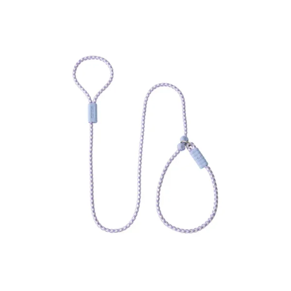 dchwm0193870-01.webp Durable Adjustable Nylon Integrated Anti Pull Dog Leash