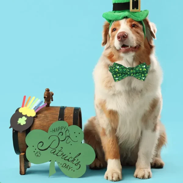 dchwm0211788-04.webp St Patrick Day Beer Clover Bow Tie Dog Collar Festive Pet Accessory – product view 4