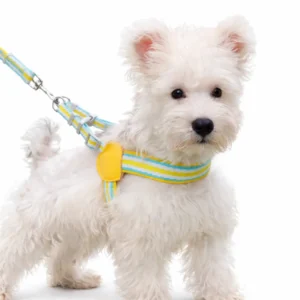 Adorable Dopamine Color Pet Harness and Leash Set | Wholesale Dog Harnesses