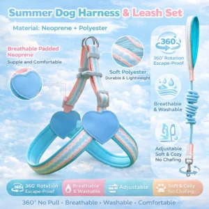 Adorable Dopamine Color Pet Harness and Leash Set – product view 4