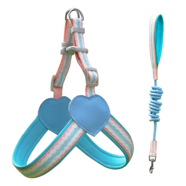 dchwm0218019-06.webp Adorable Dopamine Color Pet Harness and Leash Set – product view 6