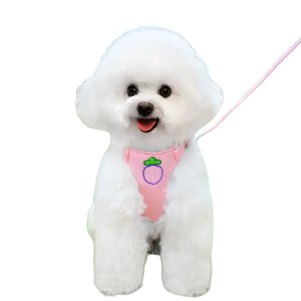 dchwm0218185-01.webp Adorable Fruit Design Pet Harness and Leash Set