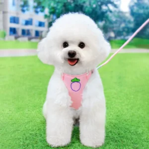 dchwm0218185-02.webp Adorable Fruit Design Pet Harness and Leash Set – product view 2