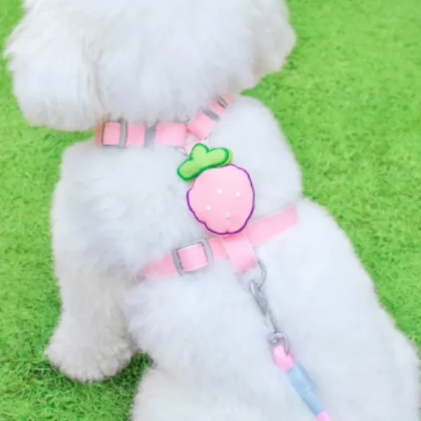dchwm0218185-05.webp Adorable Fruit Design Pet Harness and Leash Set – product view 5