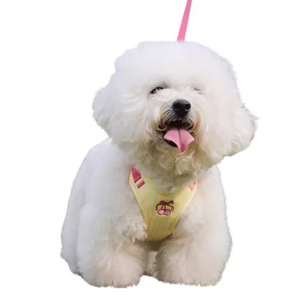 Summer 4 Color Option Pet Harness and Leash Set