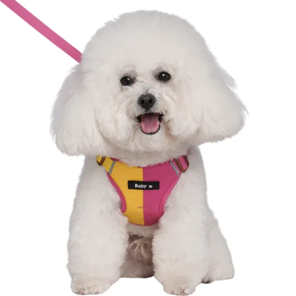 dchwm0218667-01.webp Summer Color Blocking Pet Harness and Leash Set