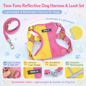 dchwm0218667-04.webp Summer Color Blocking Pet Harness and Leash Set – product view 4