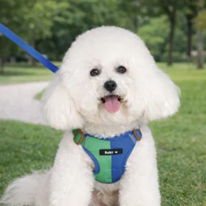 dchwm0218667-05.webp Summer Color Blocking Pet Harness and Leash Set – product view 5