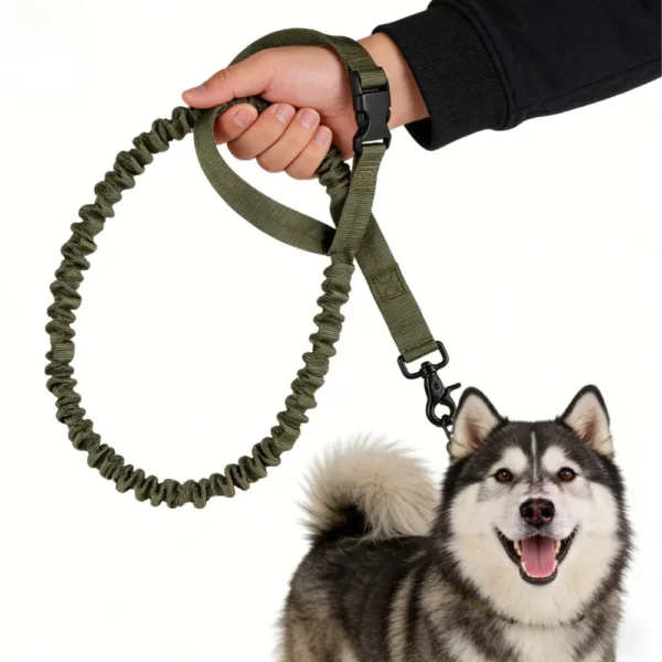 4 Color Option Outdoor Dog Walking Tactical Leash