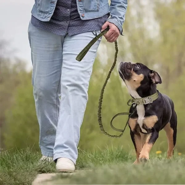 dchwm0219366-04.webp 4 Color Option Outdoor Dog Walking Tactical Leash – product view 4
