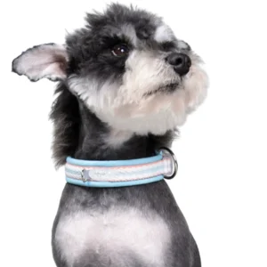 4 Color Option Cat & Dog Summer Dopamine Collar