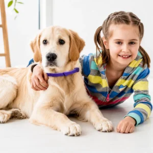 dchwm0234907-05.webp Pet Calm Essential Oil Anxiety Relief Collar for Dogs and Cats – product view 5