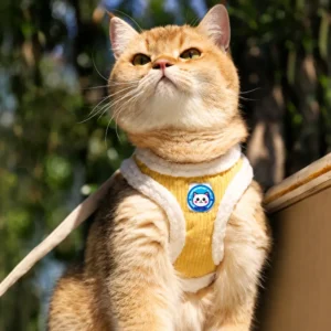 dchwm0235015-04.webp Pet Calming Stickers for Cats and Dogs – product view 4