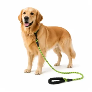 Heavy Duty Reflective Dog Leashes