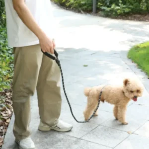 dchwm0242245-04.webp Heavy Duty Reflective Dog Leashes – product view 4
