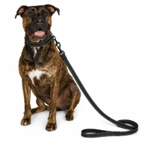 Reavy Duty Dog Reflective Dual Handle Dog Leash