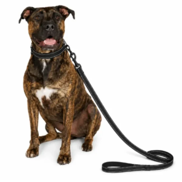 dchwm0242562-01.webp Reavy Duty Dog Reflective Dual Handle Dog Leash