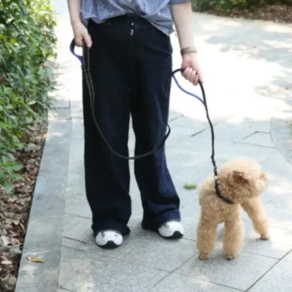dchwm0242562-06.webp Reavy Duty Dog Reflective Dual Handle Dog Leash – product view 6