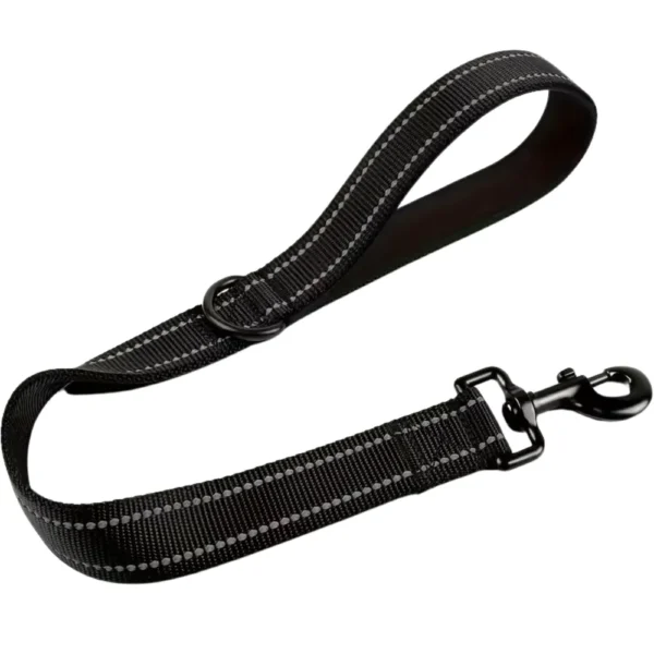dchwm0258849-01.webp Nylon Dog Traffic Leash with Padded Handle