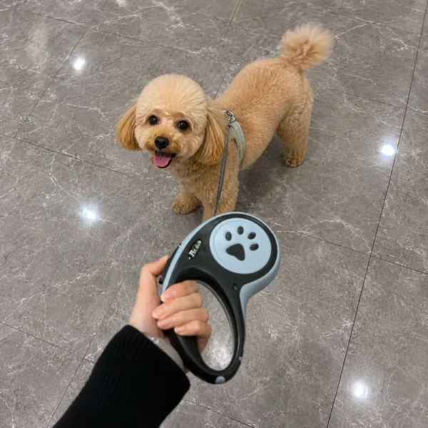 dchwm0259406-05.webp Automatic Retractable Paw Pattern Dog Leash with Ergonomic Grip – product view 5