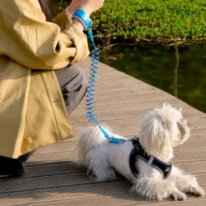 dchwm0259904-05.webp Adjustable Bungee Hands-Free Dog Leash – product view 5