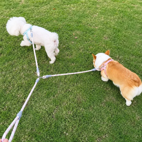 dchwm0260078-05.webp Reflective Dual Dog Leash Splitter for Two Dogs – product view 5