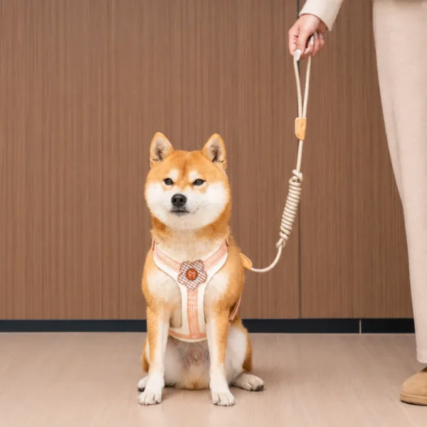 dchwm0260265-05.webp Floral Shock-Absorbing Dog Harness and Leash Set for Small and Medium Dog – product view 5