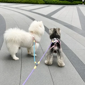 dchwm0260456-05.webp Dual Dog Leash Splitter for Small Dogs – product view 5