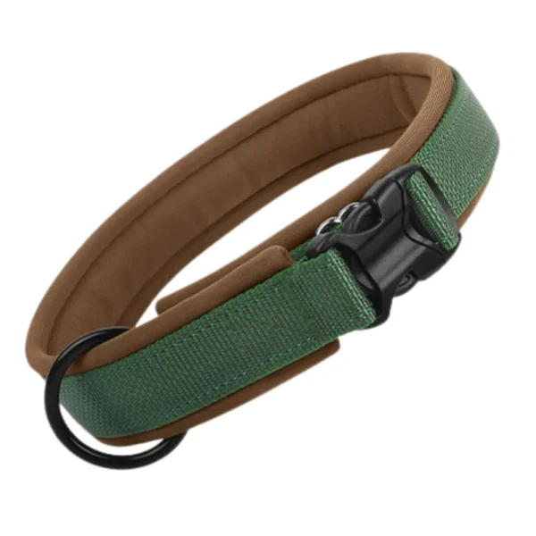 Reflective Padded Nylon Dog Collar for Large Dogs