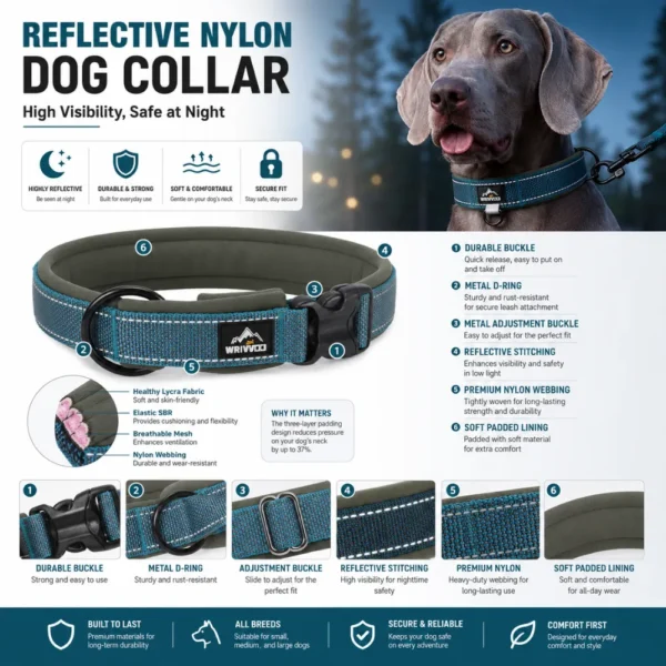 dchwm0260562-04.webp Reflective Padded Nylon Dog Collar for Large Dogs – product view 4
