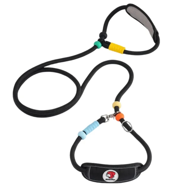 dchwm0260624-01.webp Adjustable Anti-Choke Dog Slip Lead Leash