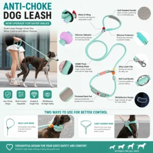 dchwm0260624-04.webp Adjustable Anti-Choke Dog Slip Lead Leash – product view 4