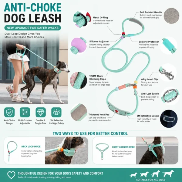 dchwm0260624-04.webp Adjustable Anti-Choke Dog Slip Lead Leash – product view 4