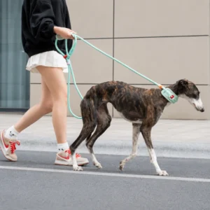 dchwm0260624-05.webp Adjustable Anti-Choke Dog Slip Lead Leash – product view 5