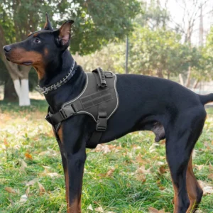 dchwm0262917-05.webp Heavy Duty Tactical Dog Harness for Medium and Large Dogs – product view 5