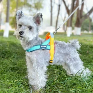 dchwm0263123-05.webp Adjustable Reflective Anti-Pull Dog Harness for Small and Medium Dogs – product view 5